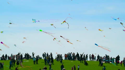 Kite Flyers Stock Footage 132217326