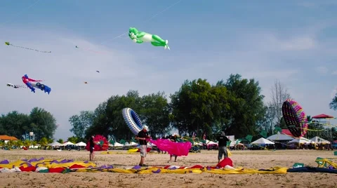 Kite Flyers packaging Kite's on The Beach. Stock Footage 53230211