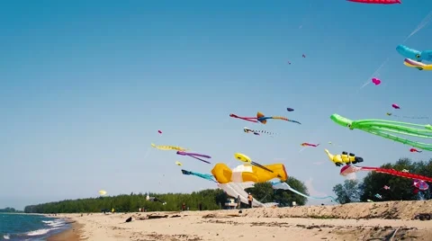 Kite flyers play there Inflatable Kites on The Beach Stock Footage 53228785