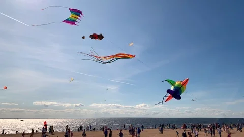 Kite flying against the backdrop of a beautiful blue sky Stock Footage 115824985