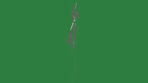 A kite flying in the air on green screen and is person with frame illustration Vídeo Stock 337336196
