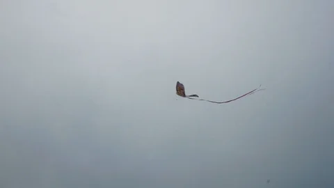 Kite Flying on Beach, Cloudy Day Stockbeeldmateriaal 119385380