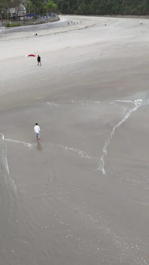 Kite Flying on the Beach on a Cloudy Day – Windy Coast 4K Stock Footage 316170597