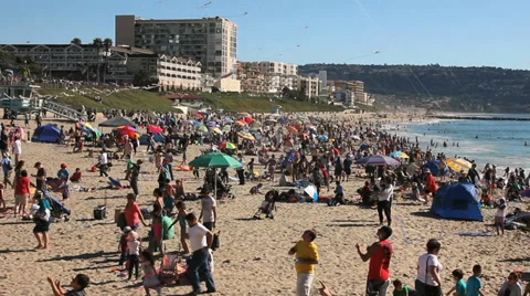 KITE FLYING AT THE BEACH Stock Footage 38425742