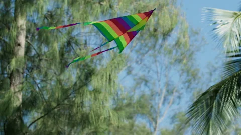 Kite flying at the beach Видео 178011503