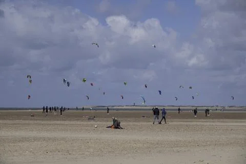 Kite flying at the beach 写真素材