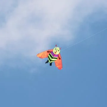 Kite flying - bee Stock Photos