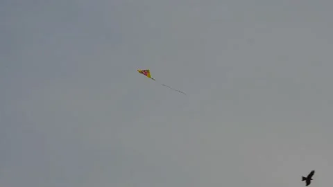 A kite flying in the blue sky 4K Stockbeeldmateriaal 134379737