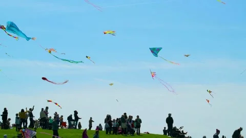 Kite flying in the blue sky Stock Footage 219982900