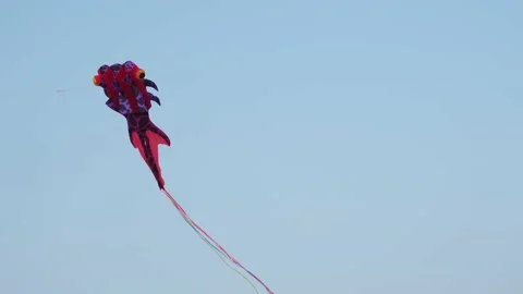 Kite flying in the blue sky. Stock-Footage 229462134