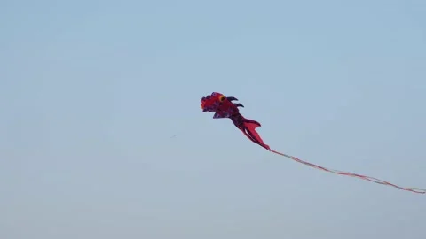 Kite flying in the blue sky. Stock Footage 238427402