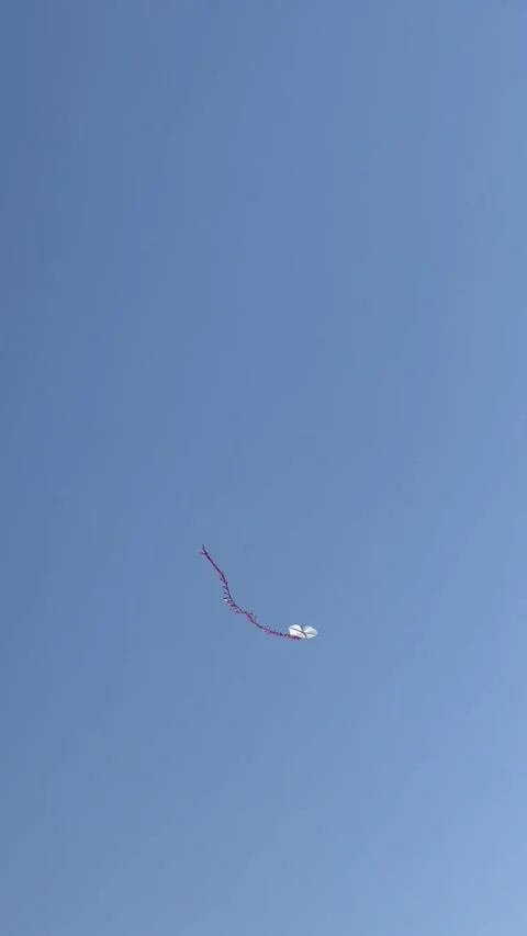 Kite flying in blue sky Stock Footage 342525830