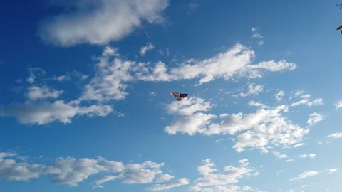 Kite flying on clear blue sky Stock Footage 100939113