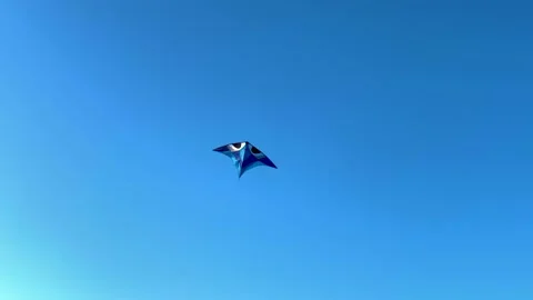 Kite Flying In The Clear Sky. 4k. Stock Footage 156714141