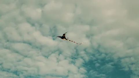 A kite flying in a cloudy sky Stock Footage 57312085