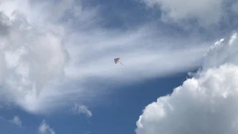 Kite Flying at Cloudy Sky Stock-Footage 102655799