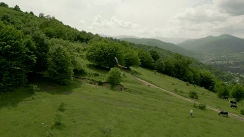 Kite flying eagle on the background of high mountains covered with green forest. Stock Footage 257123309