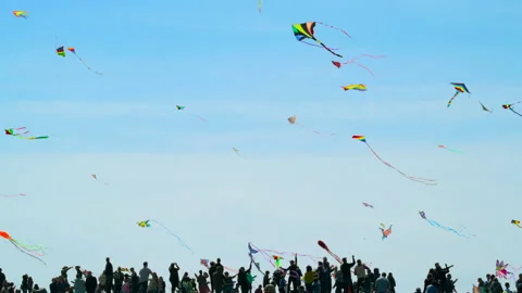 Kite Flying Stock Footage 132217253