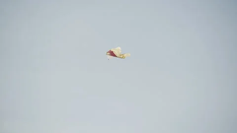 Kite flying Stock Footage 147103379