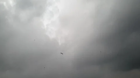 Kite flying Vídeo Stock 282239906