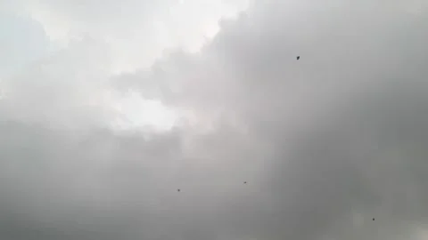 Kite flying 스톡 동영상 282239938