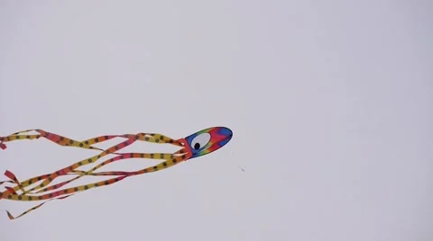 Kite flying on a grey day Stock Footage 41075709