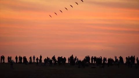 Kite flying on the Outer Banks, North Carolina II Video stock 86092328