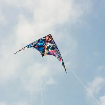 Kite flying Stock Photos