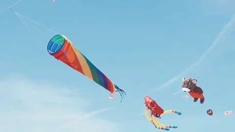 Kite flying in the shape large rainbow flies in the sky blue sky and sunny day Stock Footage 76264430