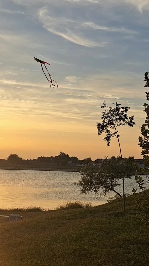 Kite Flying Short Video Video stock 250888916