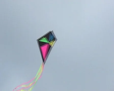 Kite flying in the sky Stock Footage 148586