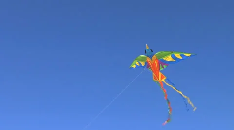 Kite Flying in sky Видео 33533237