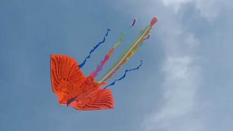Kite flying in the sky Stock Footage 90638721