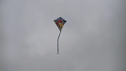 Kite flying in the sky Stock Footage 116441414