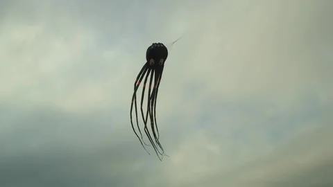 Kite flying in the sky . Stock Footage 268841564