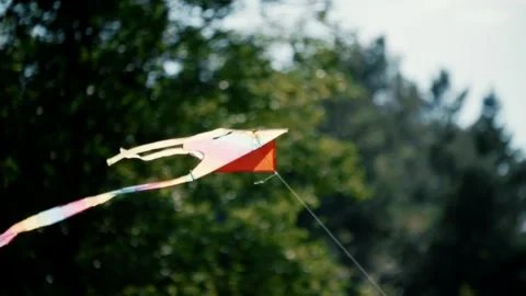 Kite flying in the sky in nature3 스톡 동영상 134488575