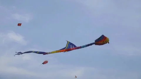 A kite flying in the sky, Vietnamese Kite Holiday Stock Footage 242349785