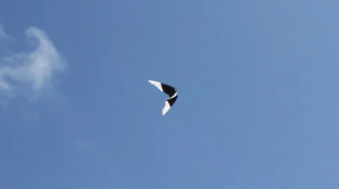 Kite flying under blue sky 8944 Stock Footage 26620363