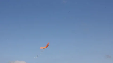 Kite flying under blue sky 8962_01 스톡 동영상 26721201