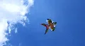 Kite HD Footage