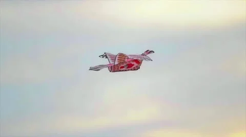 Kite Stock Footage 10810026