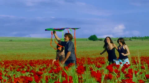 Kite Video stock 22459506