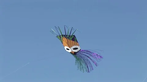 A kite 스톡 동영상 72571527