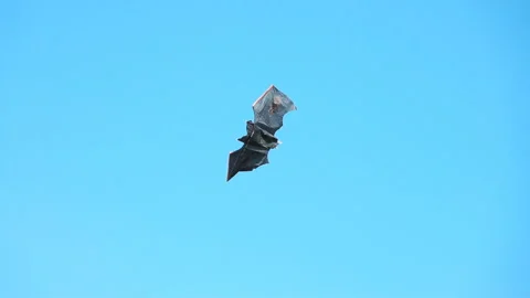 Kite 動画素材 90338213