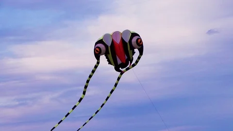 Kite Stock Footage 107801648