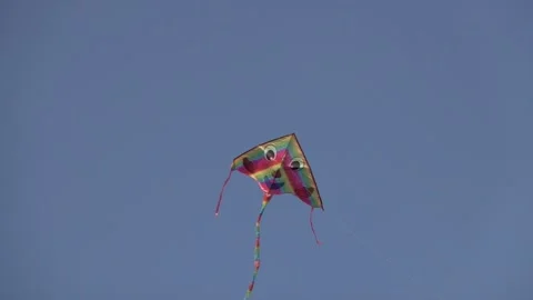 Kite Video stock 148236574