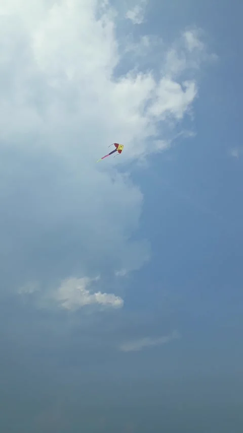 Kite Stock Footage 201208966