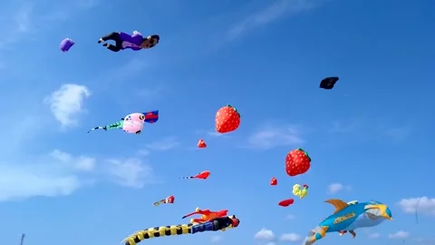 Kite Stock Footage 246202979