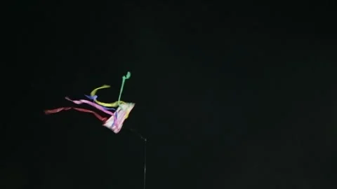 Kite Stock Footage 341856086