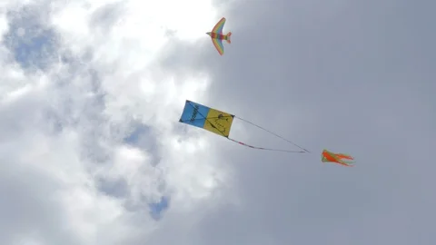 Kite in The Form of a Bird Stock Footage 127393240